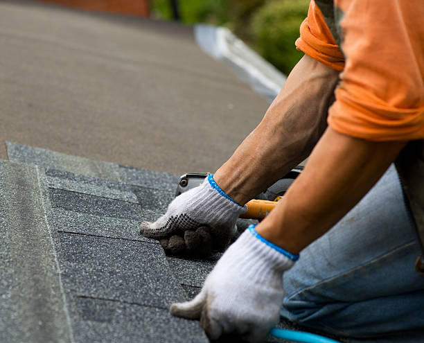 Gutter Installation and Roofing in Mount Ida, AR